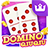 icon Domino 99 2.1.0.0