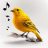 icon Bird Calls 13.2.2