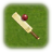 icon Cricket Scorer 2.3