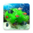 icon Aquarium 4.4