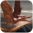 icon Pteranodon Simulator 1.1.6