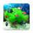 icon Aquarium Live Wallpaper 4.0