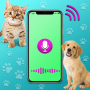 icon Dog & Cat Translator