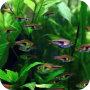 icon Aquarium 3D Live Wallpapers