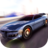icon Real Driving 1.1