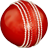 icon Cricket Coaching Tutorials 1.2
