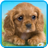 icon Talking Puppy 1.480.0.614