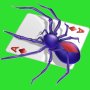 icon Spider Solitaire