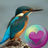 icon Colorful Hummingbirds 2.26.26