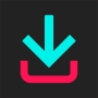 icon TikTok Downloader