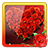 icon Rose Photo Frames 1.5