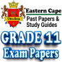 icon Grade 11 Eastern Cape Papers