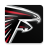 icon Falcons 21.10.482
