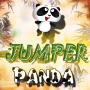 icon Jumper Panda