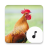 icon Chicken Sounds 4.6.0