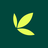 icon Bamboo 4.1.2